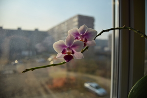 Image-preview_300x200