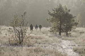 Image-preview_300x200