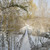 Image-square_50