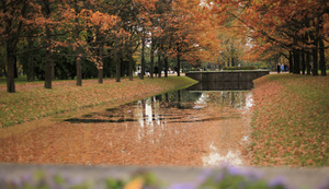 Image-preview_300x200