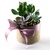 Image-square_50