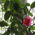 Image-square_50