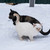 Image-square_50
