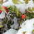 Image-square_50