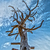 Image-square_50