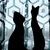 Image-square_50