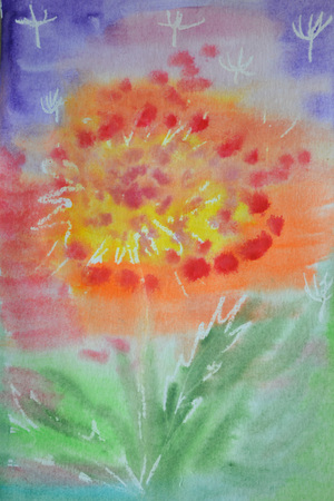 Image-preview_300x200