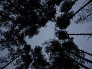 Image-preview_300x200