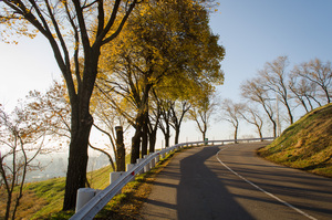 Image-preview_300x200