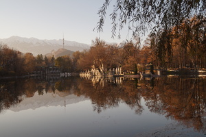 Image-preview_300x200