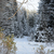 Image-square_50
