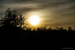 Image-preview_300x200