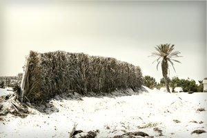 Image-preview_300x200
