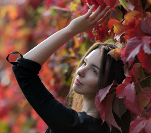 Image-preview_300x200