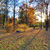 Image-square_50