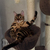 Image-square_50
