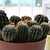 Image-square_50