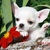 Image-square_50