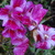 Image-square_50