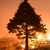 Image-square_50