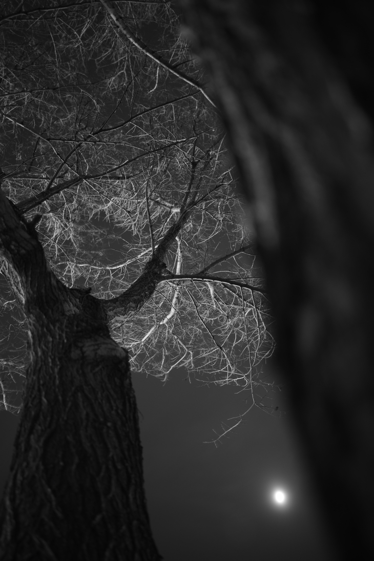 Image-normal