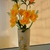 Image-square_50