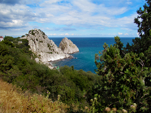 Image-preview_300x200