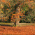 Image-square_50