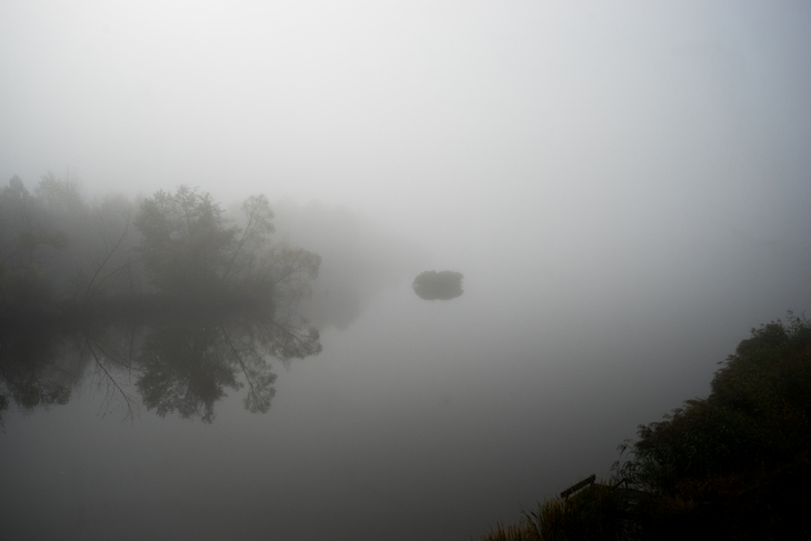 Image-normal