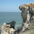 Image-square_50