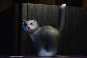 Image-preview_300x200