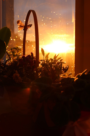 Image-preview_300x200