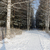 Image-square_50