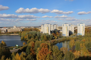 Image-preview_300x200