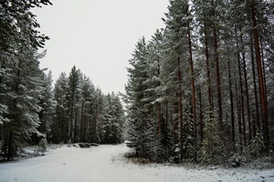 Image-preview_300x200