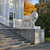 Image-square_50
