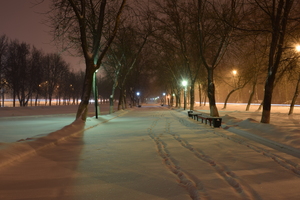 Image-preview_300x200
