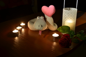 Image-preview_300x200