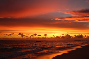 Image-preview_300x200