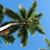 Image-square_50