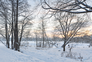 Image-preview_300x200