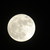 Image-square_50