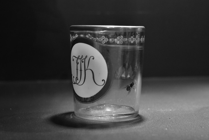 Image-normal