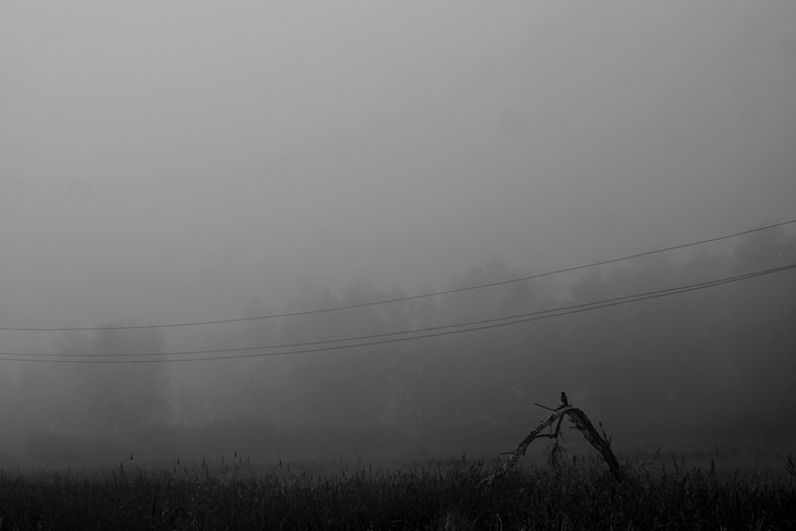 Image-normal