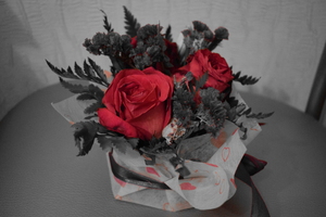 Image-preview_300x200