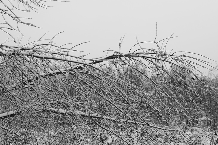 Image-normal