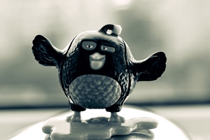 Image-preview_300x200