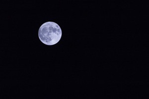 Image-preview_300x200