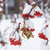 Image-square_50