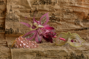 Image-preview_300x200